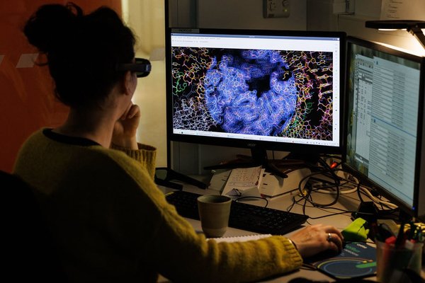 Bioinformatique : Son rôle clé et ses applications innovantes dans la recherche scientifique